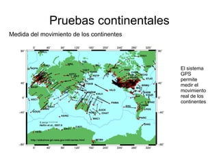 Pruebas continentales 
Medida del movimiento de los continentes 
El sistema 
GPS 
permite 
medir el 
movimiento 
real de los 
continentes 
 
