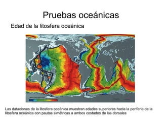 Pruebas oceánicas 
Edad de la litosfera oceánica 
Las dataciones de la litosfera oceánica muestran edades superiores hacia la periferia de la 
litosfera oceánica con pautas simétricas a ambos costados de las dorsales 
 