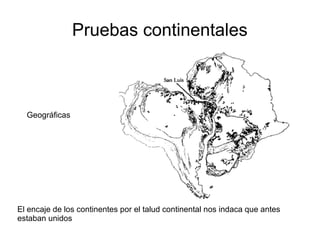 Pruebas continentales 
Geográficas 
El encaje de los continentes por el talud continental nos indaca que antes 
estaban unidos 
 
