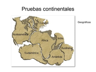 Pruebas continentales 
Geográficas 
 