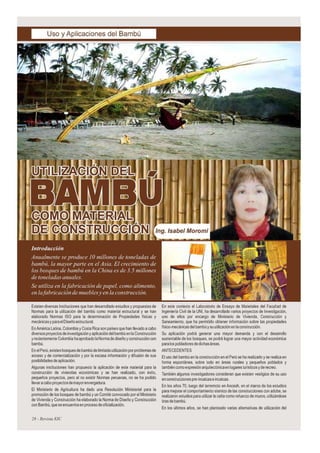 Pruebas del bambu 2010