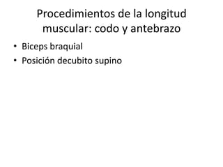 Procedimientos de la longitud
      muscular: codo y antebrazo
• Biceps braquial
• Posición decubito supino
 