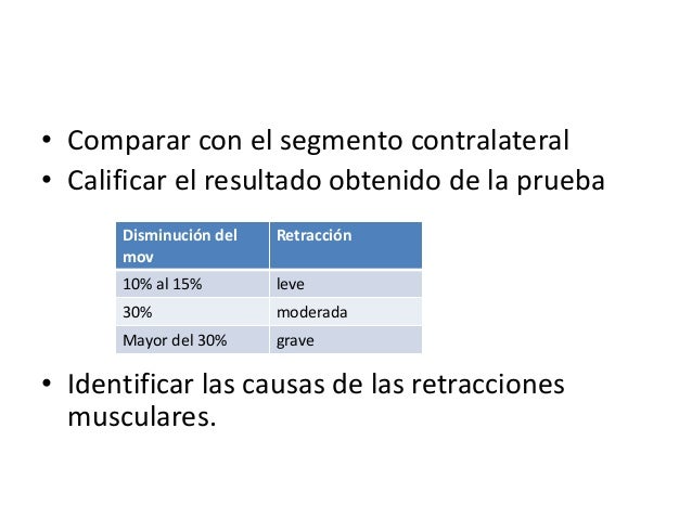 Pruebas de longitud muscular