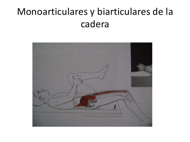 La gente también piden dolor muscular costado derecho