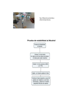 Prueba de estabilidad al Alcohol
Fig.4 Muestrasometidaa
altastemperaturas.
 