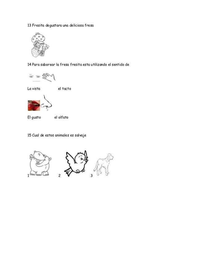 preguntas de matematicas tipo icfes para grado 6 pruebas de preescolar tipo icfes 2011 preguntas de matematicas tipo icfes para grado 6 pruebas de preescolar tipo icfes 2011