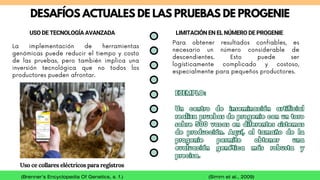 Progenie PRUEBAS DE PROGENIE EN VACUNOS------.pdf