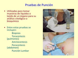 Pruebas de Punción Utilizadas para tomar muestras de líquidos o tejido de un órgano para su análisis citológico o bioquímico  Entre estas pruebas se incluyen: Biopsias  Toracentesis  (pulmones) Amniocentesis  Paracentesis  (abdomen) Punción Lumbar  