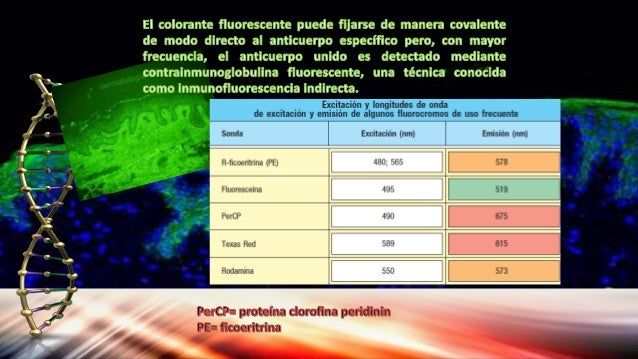 Pruebas dx en inmunologia