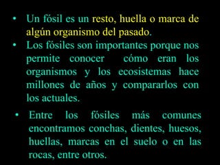 • Un fósil es un resto, huella o marca de 
algún organismo del pasado. 
• Los fósiles son importantes porque nos 
permite conocer cómo eran los 
organismos y los ecosistemas hace 
millones de años y compararlos con 
los actuales. 
• Entre los fósiles más comunes 
encontramos conchas, dientes, huesos, 
huellas, marcas en el suelo o en las 
rocas, entre otros. 
 