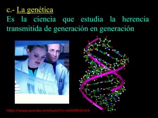 c.- La genética 
Es la ciencia que estudia la herencia 
transmitida de generación en generación 
https://www.youtube.com/watch?v=xL6GKReGmC4 
 