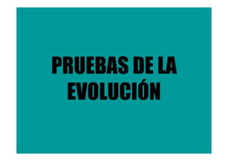 PRUEBAS DE LA
 EVOLUCIÓN
 