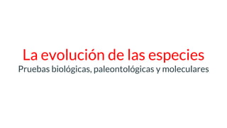 La evolución de las especies
Pruebas biológicas, paleontológicas y moleculares
 
