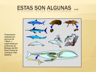 Estas son algunas  … Presentación realizada por alumnos de 1ºBach  y supervisada por profesores de Biología del IES Rosa Chacel de Colmenar Viejo (Madrid) 