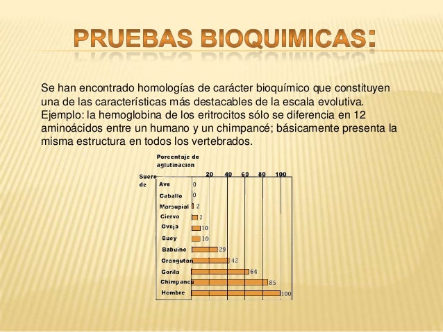 Que Son Las Homologias Bioquimicas Y Embrionarias es.slideshare.net