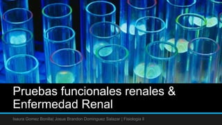 Pruebas funcionales renales &
Enfermedad Renal
Isaura Gomez Bonilla| Josue Brandon Dominguez Salazar | Fisiologia ll
 