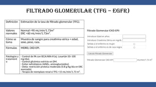 Filtrado Glomerular (TFG – eGFR)
Definición Estimación de la tasa de filtrado glomerular (TFG).
Valores
normales
Normal >90 mL/min/1.73m²
ERC <60 mL/min/1.73m².
Cómo se
toma
Muestra de sangre para creatinina sérica + edad,
sexo, peso, raza.
Fórmulas MDRD, CKD-EPI.
Patologías y
tratamient
o
- Control de PA con IECA/ARA-II (ej. Losartán 50–100
mg/día).
- Control glicémico estricto en DM.
- Evitar nefrotóxicos (AINEs, aminoglucósidos).
- Dieta: restricción proteica moderada (0.8 g/kg/día en ERC
avanzada).
- Terapia de reemplazo renal si TFG <15 mL/min/1.73 m².
 