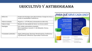 Urocultivo y antibiograma
 