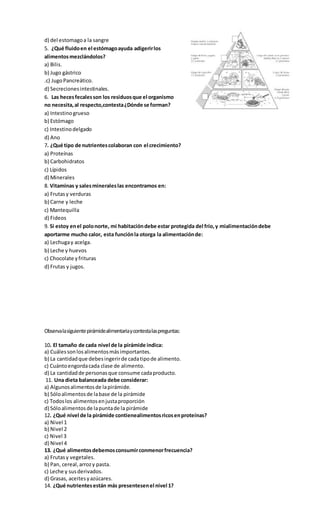 d) del estomagoa la sangre
5. ¿Qué fluidoen el estómagoayuda adigerirlos
alimentosmezclándolos?
a) Bilis.
b) Jugo gástrico
.c) JugoPancreático.
d) Secrecionesintestinales.
6. Las hecesfecalesson los residuosque el organismo
no necesita,al respecto,contesta¿Dónde se forman?
a) Intestinogrueso
b) Estómago
c) Intestinodelgado
d) Ano
7. ¿Qué tipo de nutrientescolaboran con el crecimiento?
a) Proteínas
b) Carbohidratos
c) Lípidos
d) Minerales
8. Vitaminas y salesmineraleslas encontramos en:
a) Frutasy verduras
b) Carne y leche
c) Mantequilla
d) Fideos
9. Si estoy enel polonorte, mi habitacióndebe estar protegida del frío,y mialimentacióndebe
aportarme mucho calor, esta funciónla otorga la alimentaciónde:
a) Lechugay acelga.
b) Leche y huevos
c) Chocolate yfrituras
d) Frutas y jugos.
Observalasiguientepirámidealimentariaycontestalaspreguntas:
10. El tamaño de cada nivel de la pirámide indica:
a) Cuálessonlosalimentosmásimportantes.
b) La cantidadque debesingerirde cadatipode alimento.
c) Cuántoengordacada clase de alimento.
d) La cantidadde personasque consume cadaproducto.
11. Una dieta balanceada debe considerar:
a) Algunosalimentosde lapirámide.
b) Sóloalimentosde labase de la pirámide
c) Todoslos alimentosenjustaproporción
d) Sóloalimentosde lapuntade la pirámide
12. ¿Qué nivel de la pirámide contienealimentosricosenproteínas?
a) Nivel 1
b) Nivel 2
c) Nivel 3
d) Nivel 4
13. ¿Qué alimentosdebemosconsumirconmenorfrecuencia?
a) Frutasy vegetales.
b) Pan, cereal,arrozy pasta.
c) Leche y susderivados.
d) Grasas, aceitesyazúcares.
14. ¿Qué nutrientesestán más presentesenel nivel 1?
 