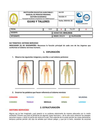 INSTITUCIÓN EDUCATIVA JUAN PABLO I
MANUAL DE PROCESO MISIONAL
GESTIÓN ACADEMICA
"Formando Estudiantes Competentes Con Calidad Humana"
GA-F29
Versión: 4
GUIAS Y TALLERES Fecha: 2019-01-18
EJE TEMATICO: SISTEMA NERVIOSO
INDICADOR (S) DE DESEMPEÑO: Reconoce la función principal de cada uno de los órganos que
conforman el sistema nervioso humano.
1. EXPLORACIÓN
1. Observa las siguientes imágenes y escribe a cual sistema pertenece
____________________ ____________________ ______________________
2. Encerrar las palabras que hacen referencia al sistema nervioso
CORAZON NERVIOS PULMONES ESOFAGO NEURONA
CEREBRO TRAQUE MEDULA VENAS LARINGE
2. ESTRUCTURACIÓN
SISTEMA NERVIOSO
Alguna vez te has imaginado ¿qué pasaría si no pudieras relacionarte de manera adecuada con tu medio
ambiente? Primero que todo te perderías de algunas cosas hermosa s de la vida como observar los paisajes,
escuchar música, o sentir la caricia del viento en tu piel. Pero además de no poder percibir las cosas placenteras,
tampoco podrías percibir otro tipo de señales que indican peligro, y que por lo tanto, necesitan de acciones
FECHA: GUIA X TALLER X
DOCENTE: ASIGNATURA: BIOLOGIA
ESTUDIANTE: GRADO: CICLO II CALIFICACIÓN:
 