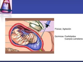 Físicas: Agitación
Químicas: Fosfolípidos
Cuerpos Lamelares
 