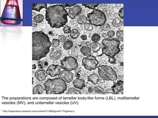 The preparations are composed of lamellar body-like forms (LBL), multilamellar
vesicles (MV), and unilamellar vesicles (UV)
* http://respiratory-research.com/content/7/1/86/figure/F1?highres=y
 