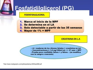 Fosfatidilglicerol (PG)
*http://www.medigraphic.com/pdfs/pediat/sp-2009/sp096f.pdf
 