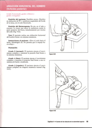 Pruebas Funcionales Musculares  Daniels 6a Edicion