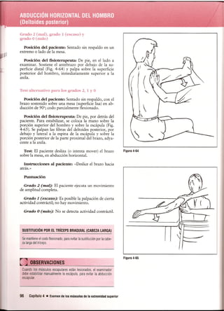 Pruebas Funcionales Musculares  Daniels 6a Edicion
