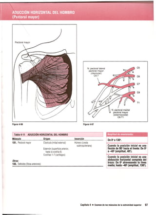 Pruebas Funcionales Musculares  Daniels 6a Edicion
