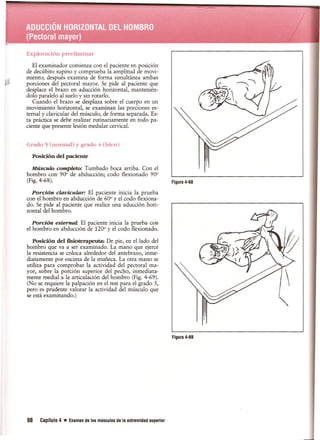 Pruebas Funcionales Musculares  Daniels 6a Edicion