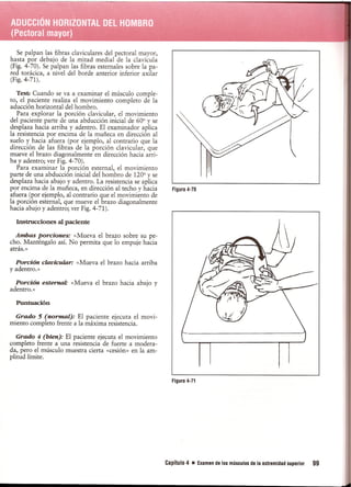Pruebas Funcionales Musculares  Daniels 6a Edicion