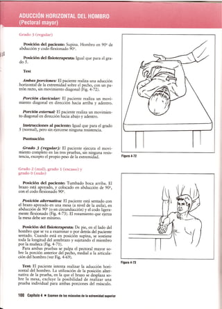 Pruebas Funcionales Musculares  Daniels 6a Edicion