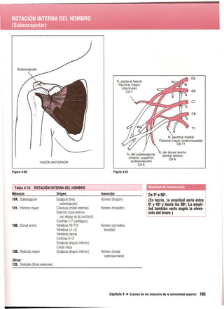 Pruebas Funcionales Musculares  Daniels 6a Edicion