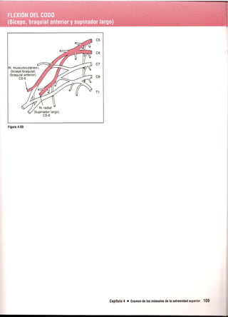 Pruebas Funcionales Musculares  Daniels 6a Edicion
