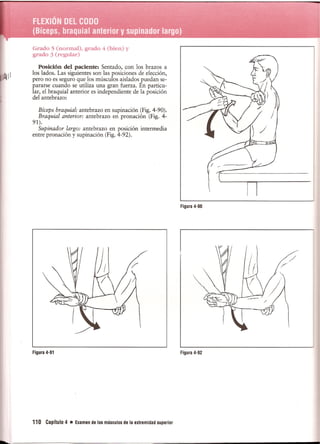 Pruebas Funcionales Musculares  Daniels 6a Edicion