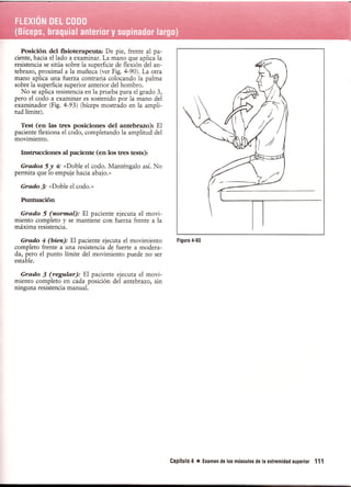 Pruebas Funcionales Musculares  Daniels 6a Edicion