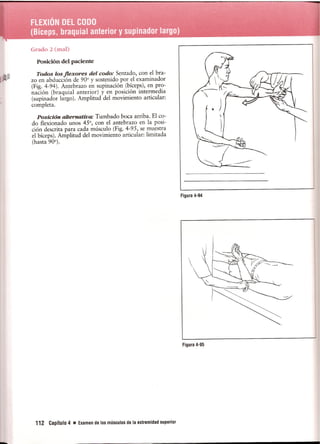 Pruebas Funcionales Musculares  Daniels 6a Edicion