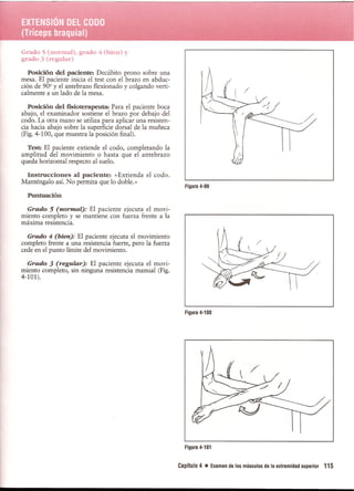 Pruebas Funcionales Musculares  Daniels 6a Edicion