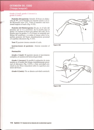 Pruebas Funcionales Musculares  Daniels 6a Edicion