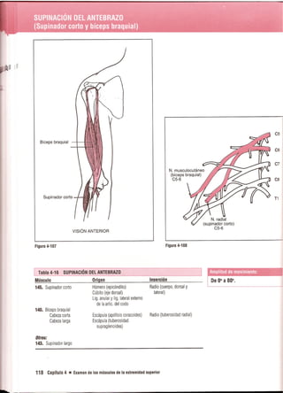 Pruebas Funcionales Musculares  Daniels 6a Edicion