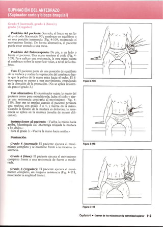 Pruebas Funcionales Musculares  Daniels 6a Edicion