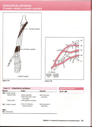 Pruebas Funcionales Musculares  Daniels 6a Edicion
