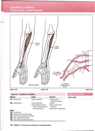 Pruebas Funcionales Musculares  Daniels 6a Edicion