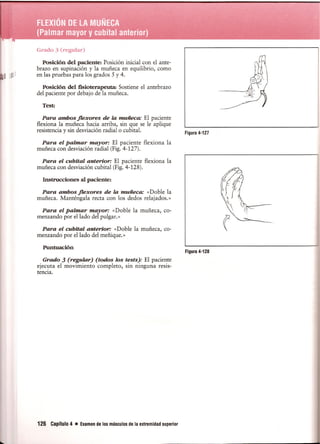 Pruebas Funcionales Musculares  Daniels 6a Edicion