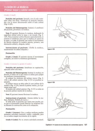 Pruebas Funcionales Musculares  Daniels 6a Edicion