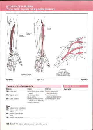 Pruebas Funcionales Musculares  Daniels 6a Edicion