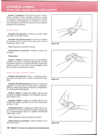 Pruebas Funcionales Musculares  Daniels 6a Edicion