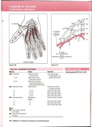 Pruebas Funcionales Musculares  Daniels 6a Edicion