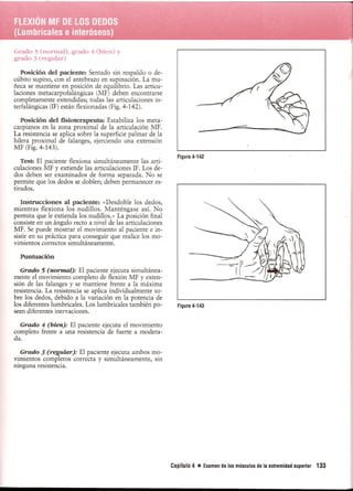 Pruebas Funcionales Musculares  Daniels 6a Edicion